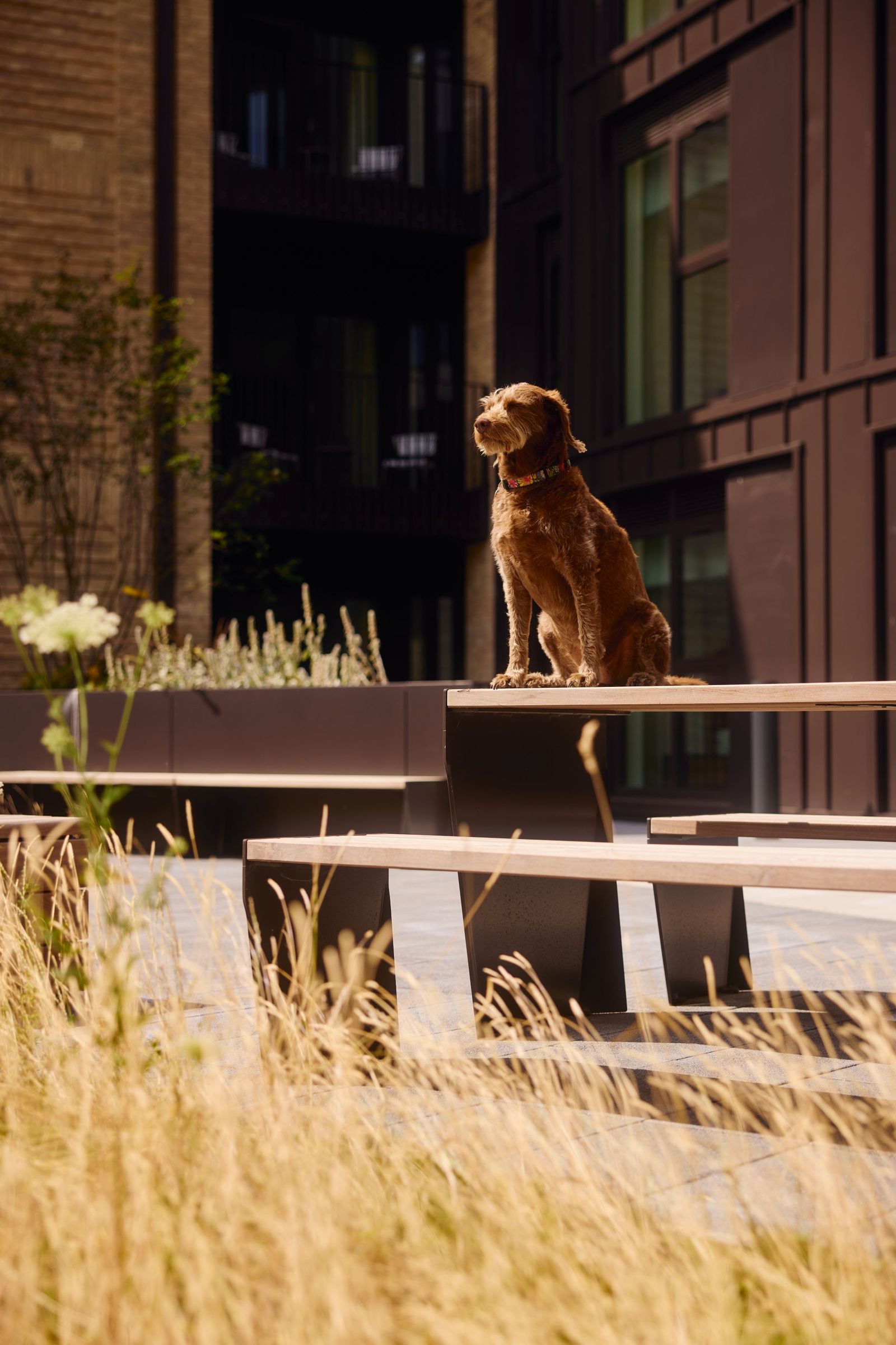 Signal Box Yard Bath Pet Friendly Apartments